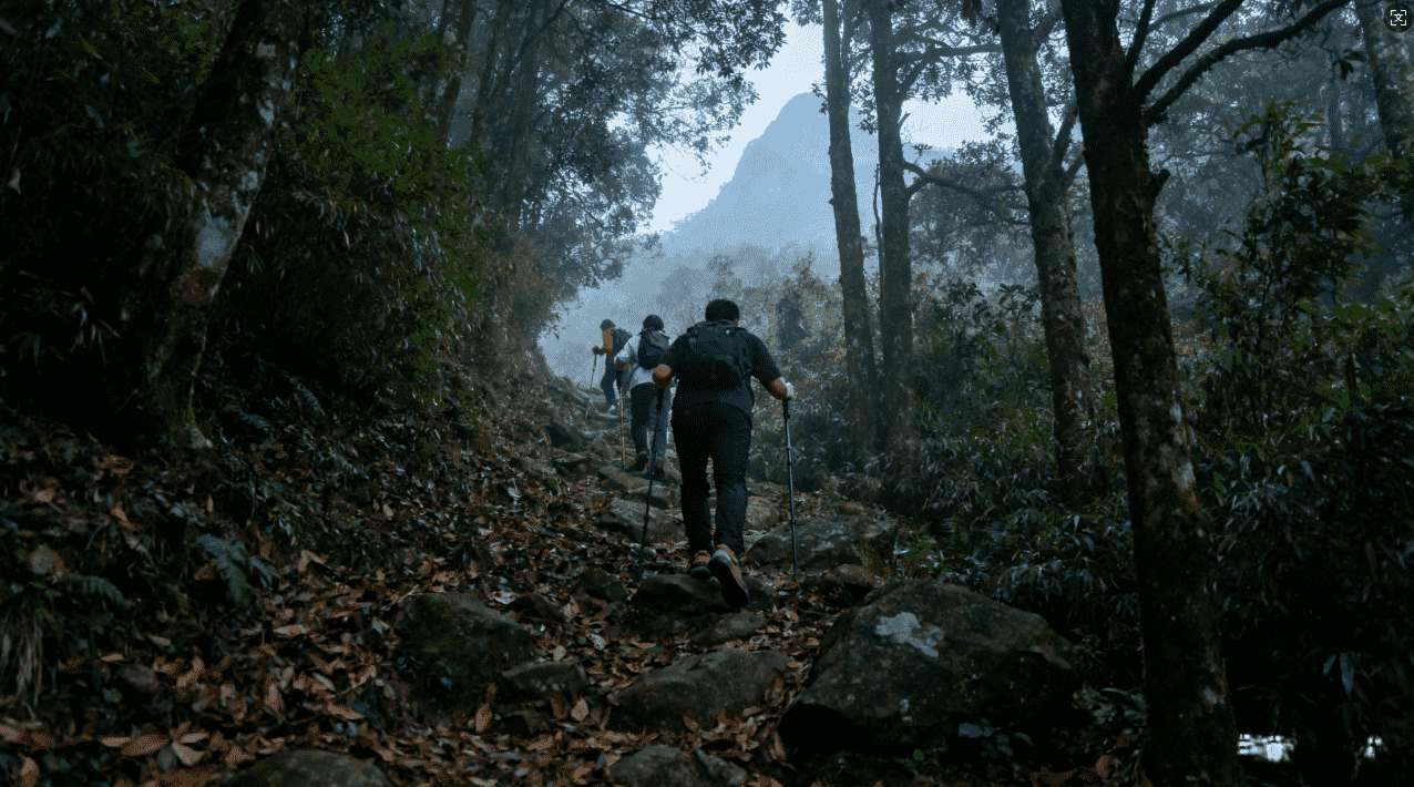 获得风驰加速器VIP版后，你能享受到哪些额外服务